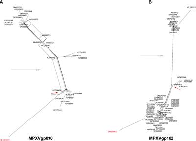 Evolutionary dissection of monkeypox virus: Positive Darwinian selection drives the adaptation of virus–host interaction proteins